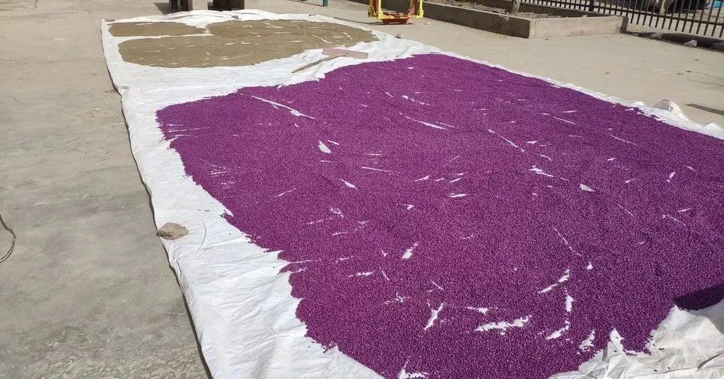 微信圖片_20220309215832.jpg 微信圖片_20220309215832.jpg