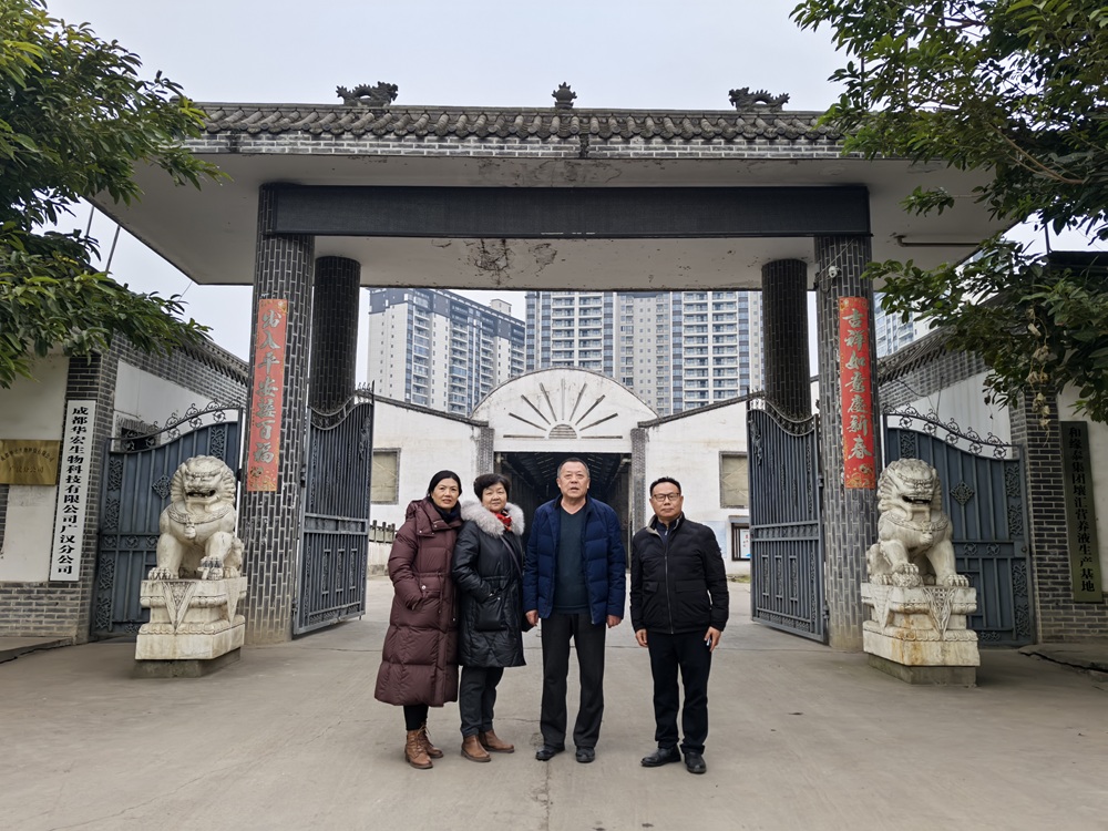 IMG_20241219_173150.jpg IMG_20241219_173150.jpg